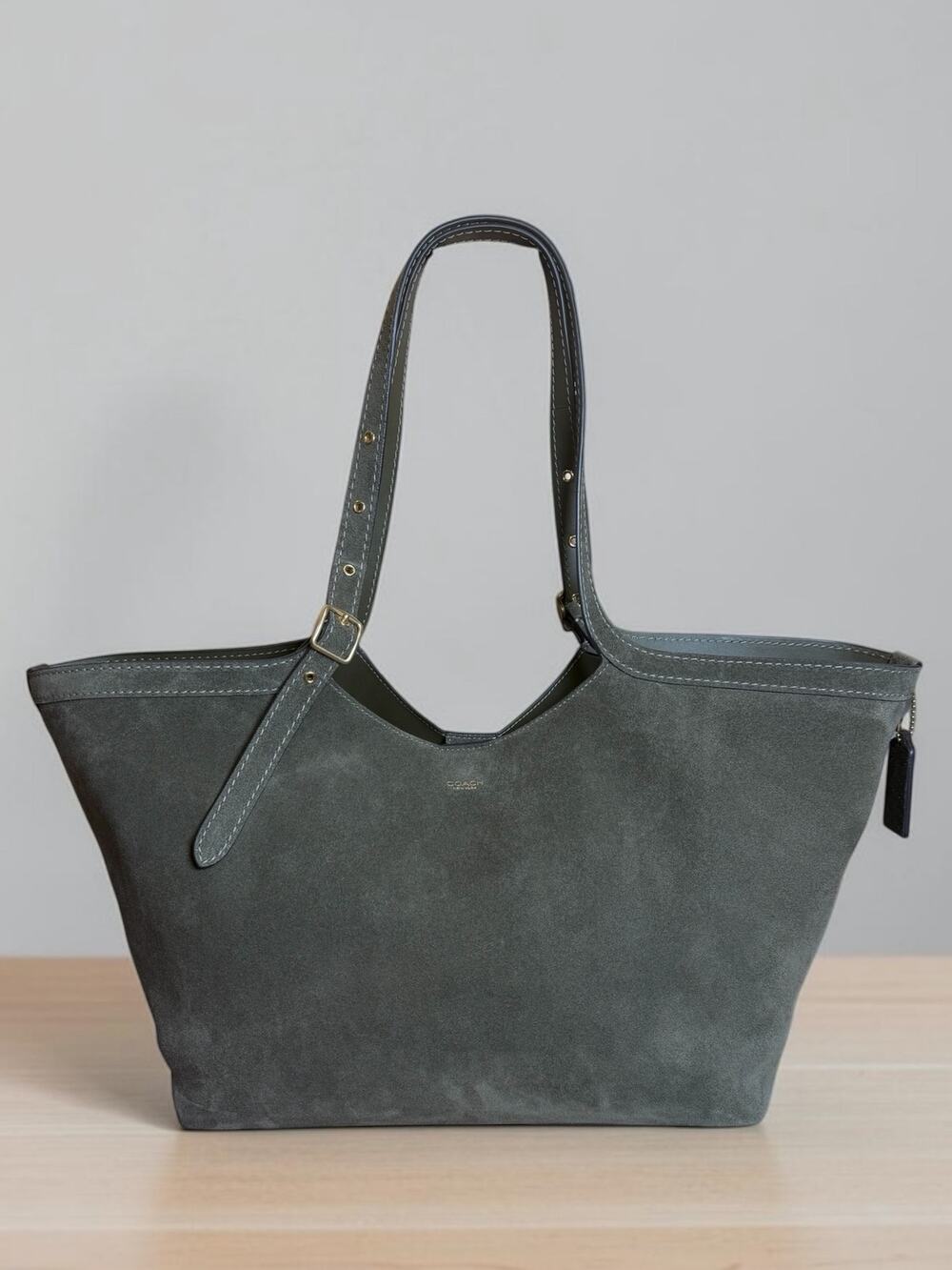 NWT Coach CBN47 Gramercy Suede Tote Bag
